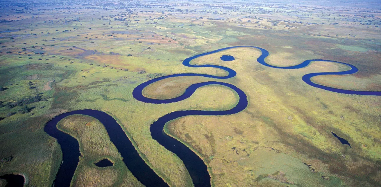 Okavango Delta and Kalahari Desert 